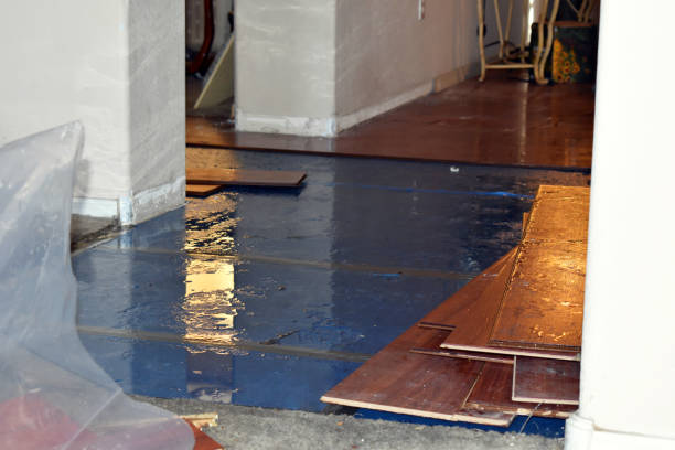 Professional Water Damage Restoration technician working in Granger, IA